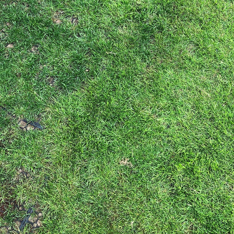 Rubber Grass Mats Installed on a Back Garden | MatsGrids Blogs